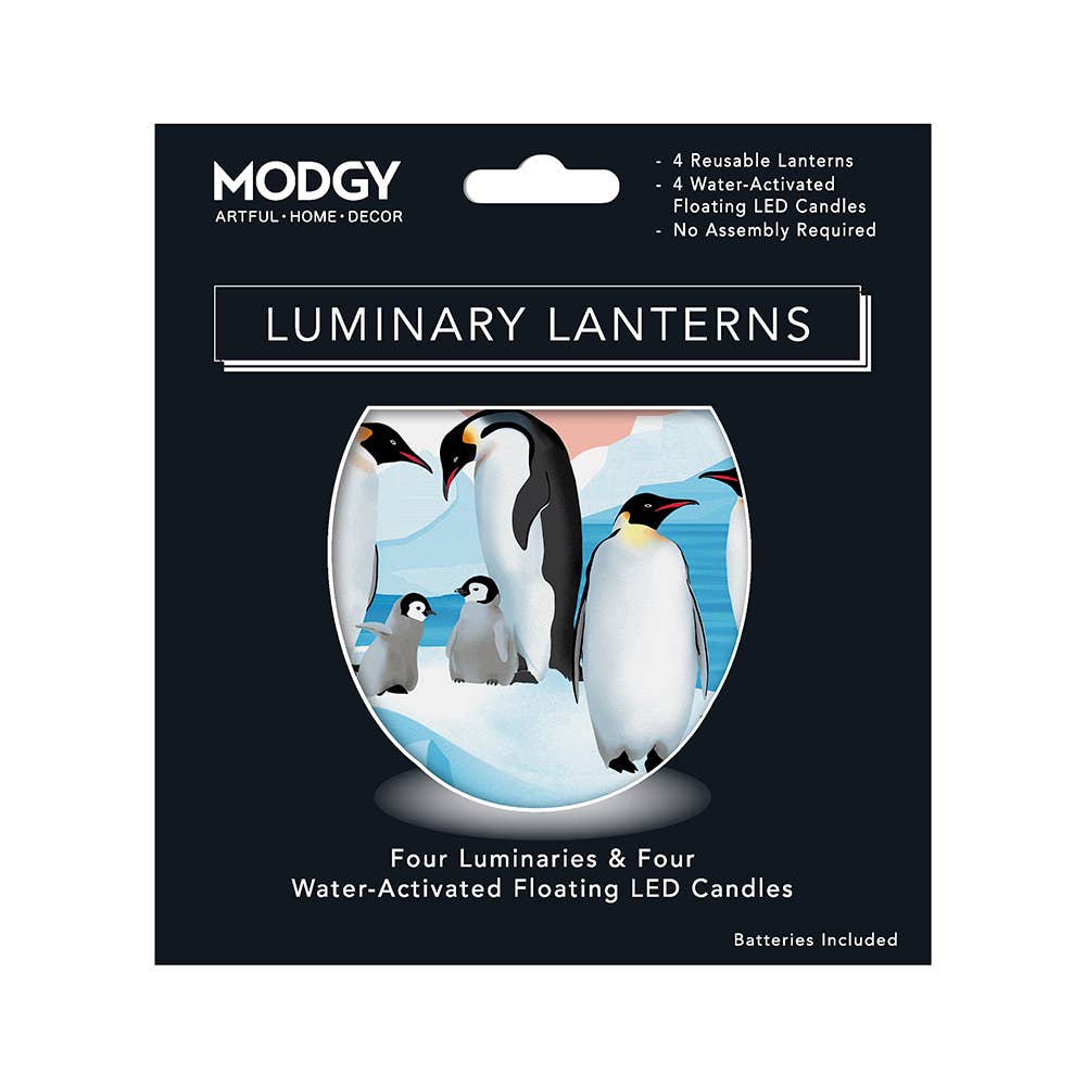 Modgy - Luminary Lanterns - Chillin