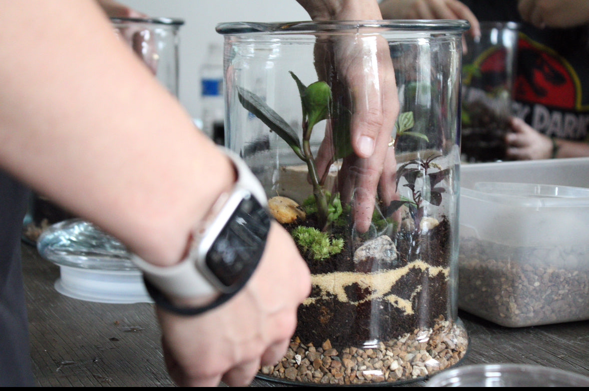 Build Your Own Terrarium Saturday November 23rd 10:30-12:30