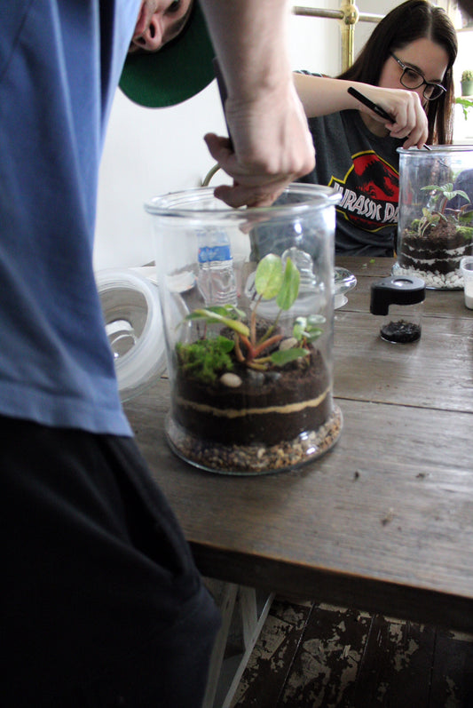 Build Your Own Terrarium Saturday November 23rd 10:30-12:30