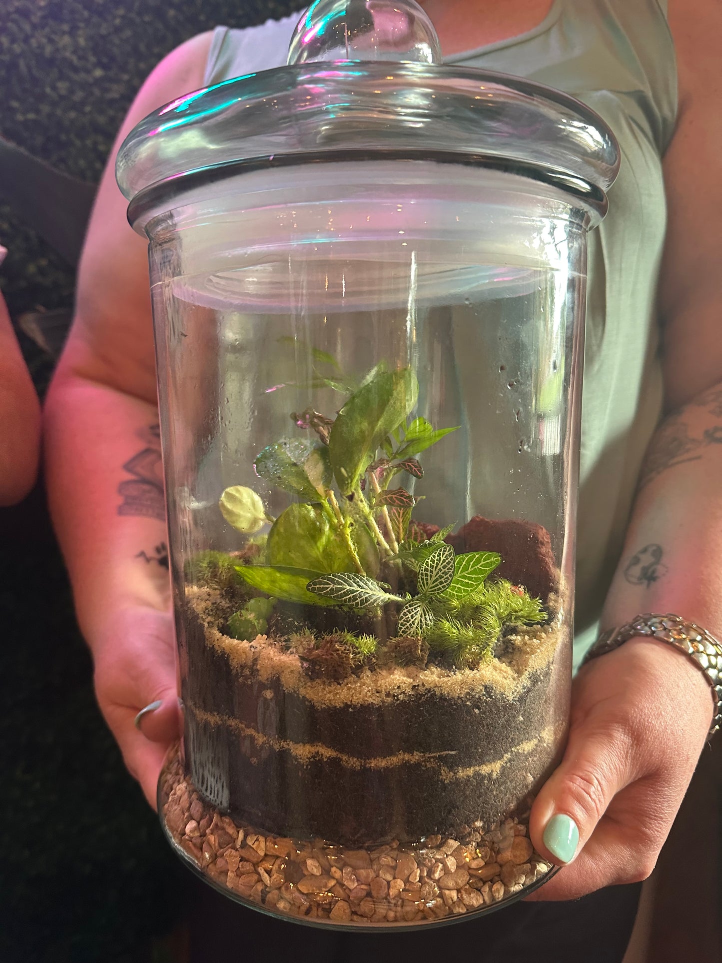 Build Your Own Terrarium Saturday November 23rd 10:30-12:30