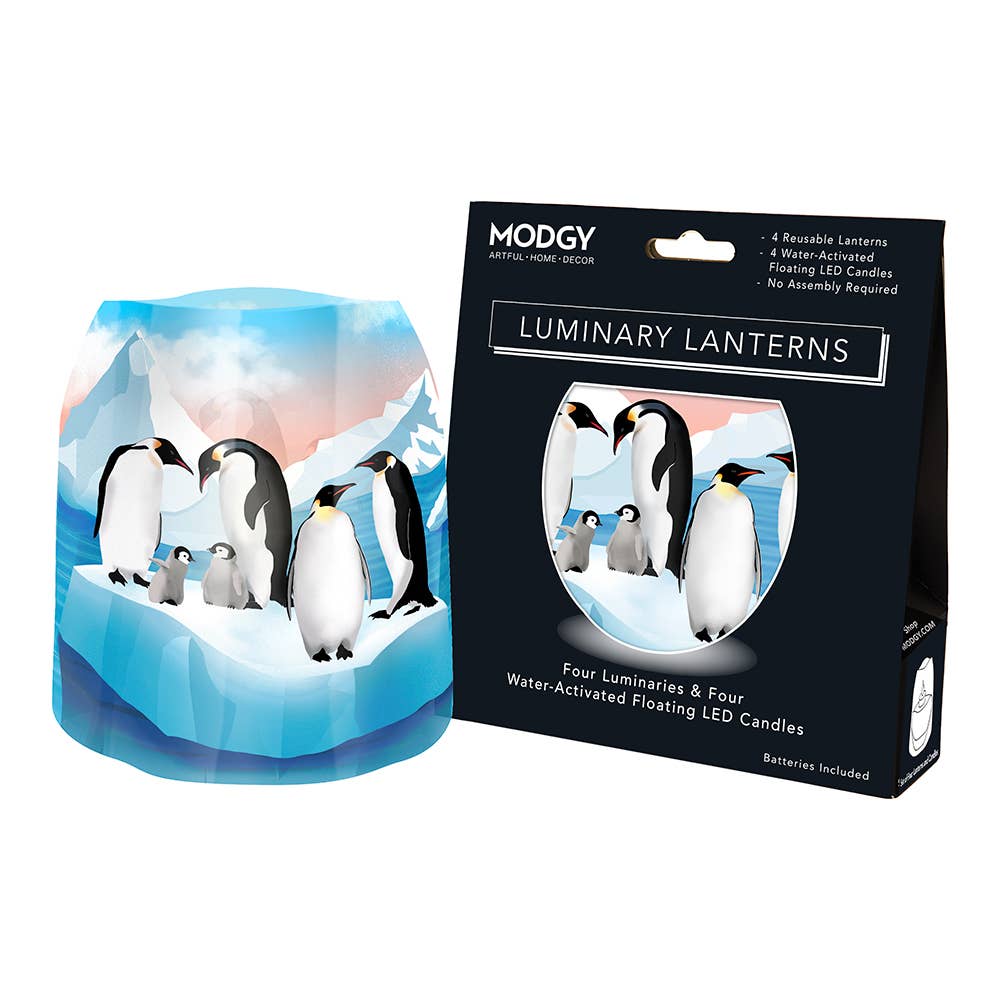 Modgy - Luminary Lanterns - Chillin