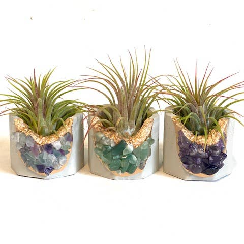 Crystal AirPlants